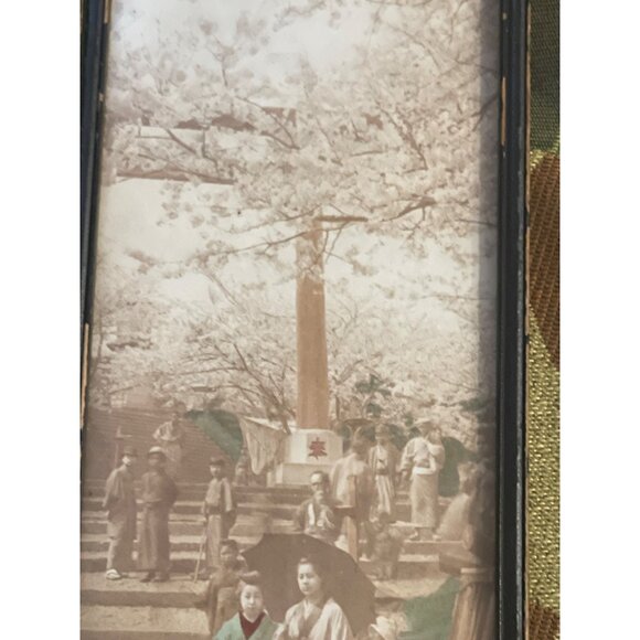 Antique Japanese Hand-Colored Large Fine Art Scroll Geisha, Cherry Blossoms - Picture 4 of 7